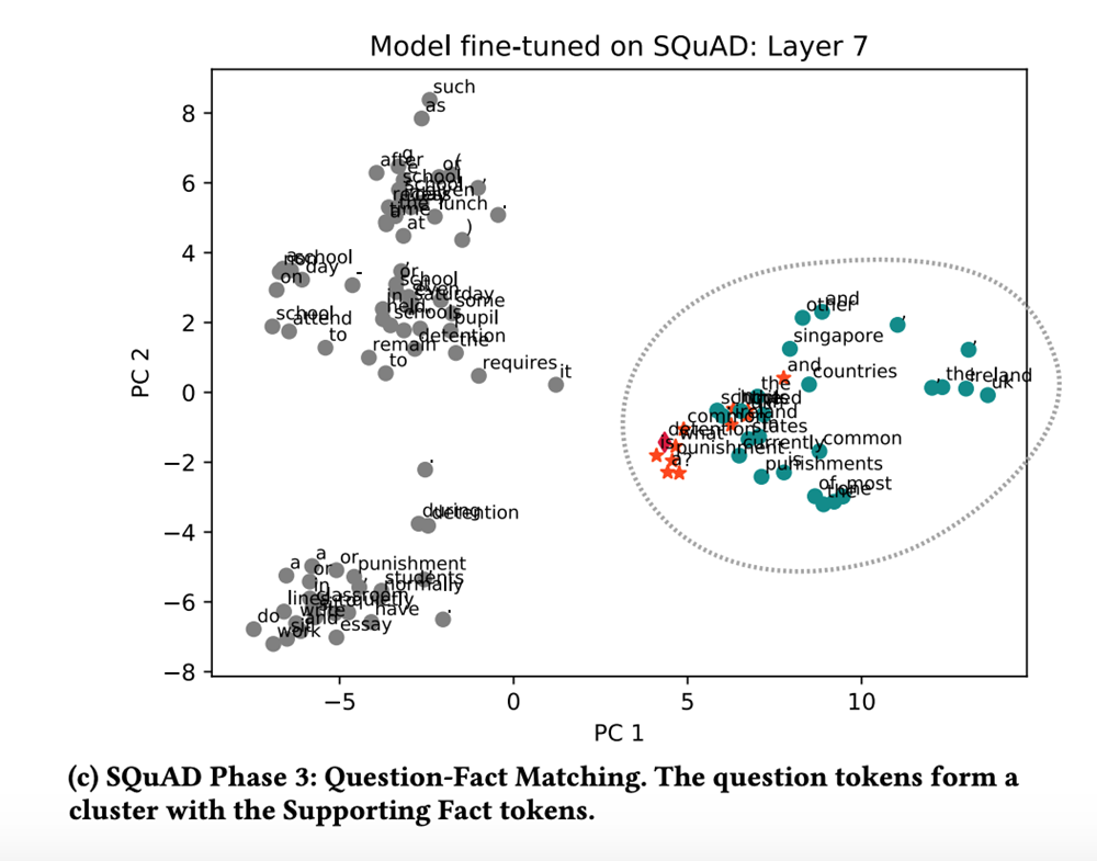 Model fine-tuned on SQuAD - Layer 7. Phase 3 the model is gathering facts to confirm the correct answer.
