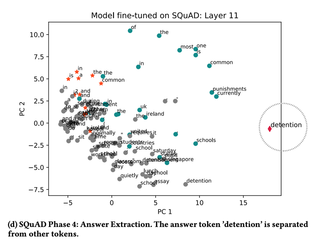 Model  fine-tuned on SQuAD layer 11. Phase 4 Answer Extraction, the answer token is seperated from other tokens.
